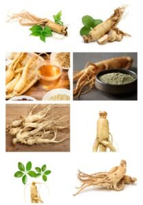 High-Quality Herbal Supplements