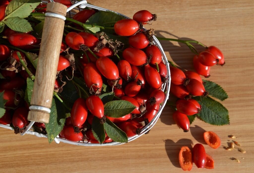 rosehip tea benefits